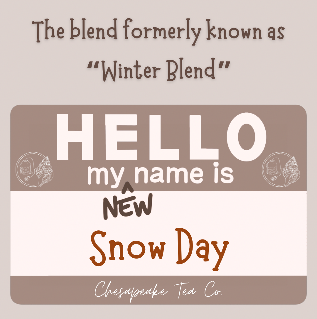 Snow Day